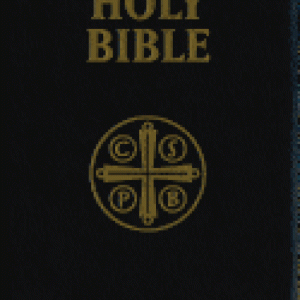 CATHOLIC BIBLE-Douay Rheims