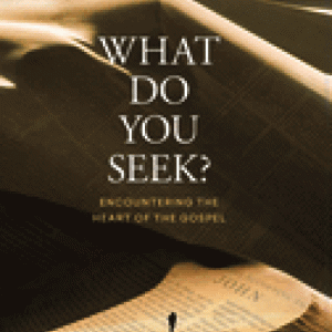 What Do You Seek?: Encountering the Heart of the Gospel