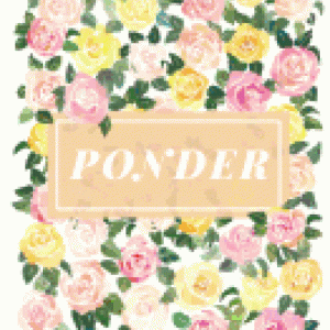Ponder